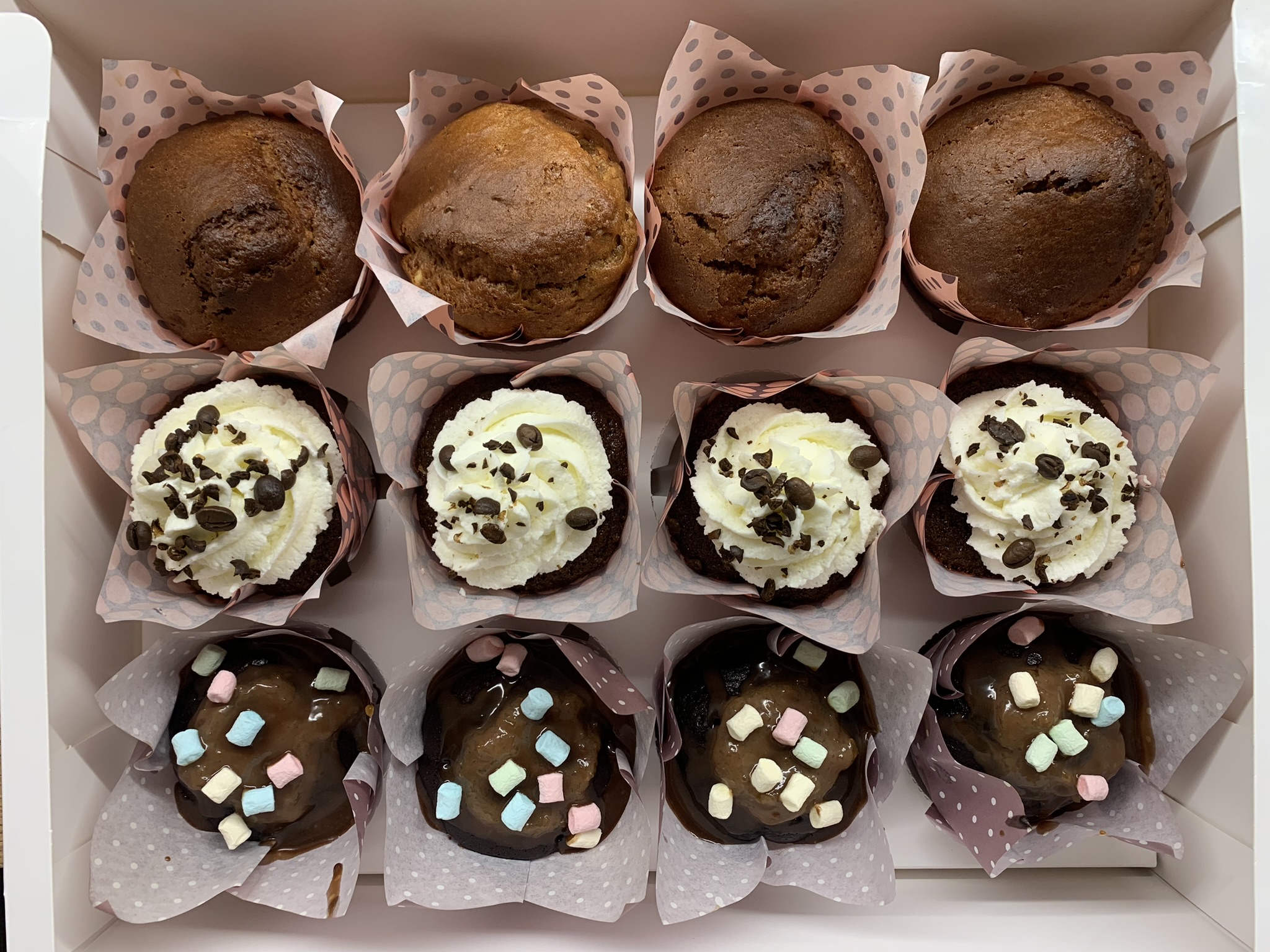 Bookclub Cupcakes