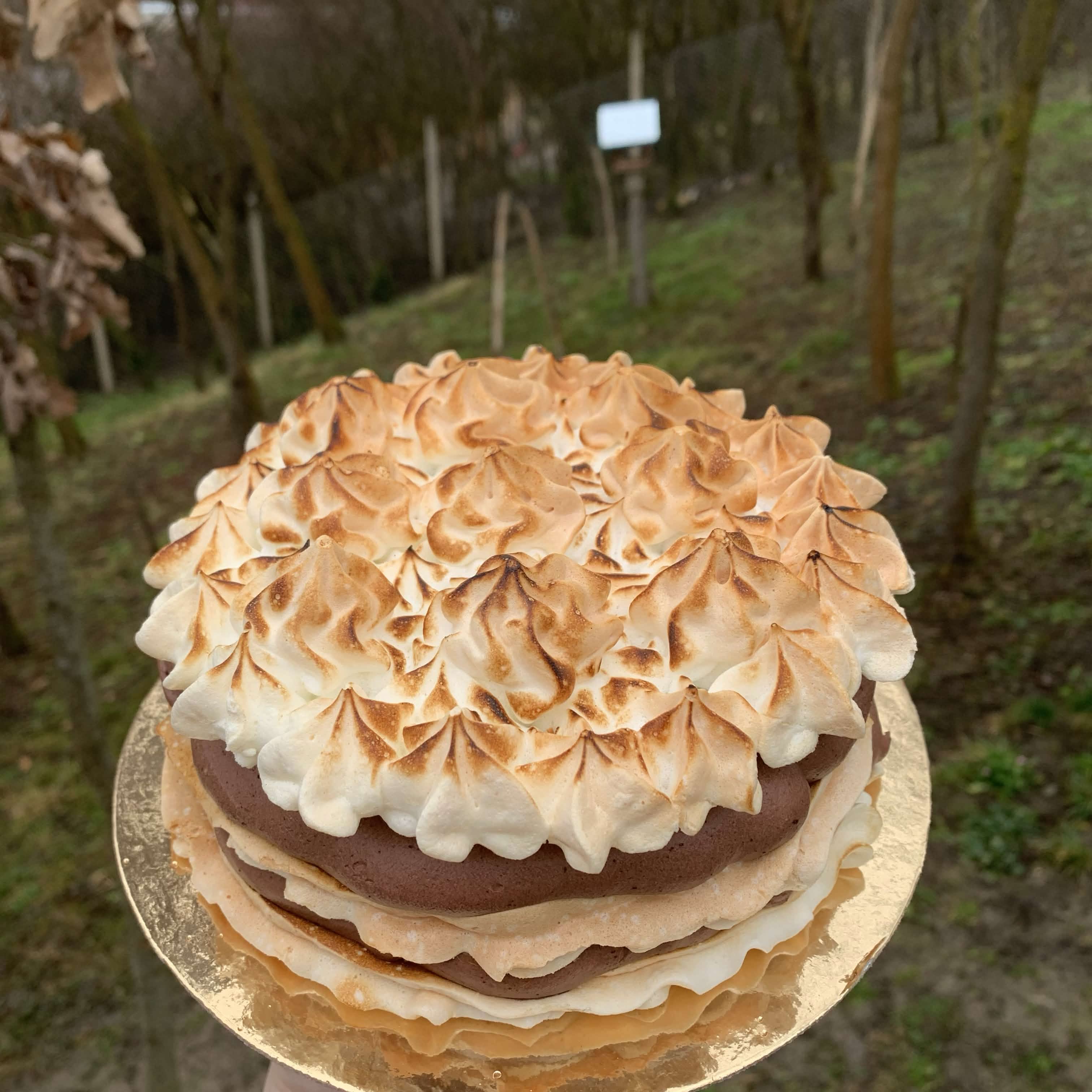 Meringue and chocolate cake