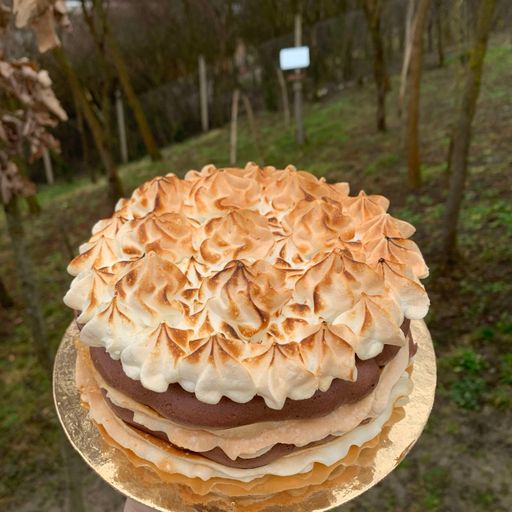 Meringue and chocolate cake