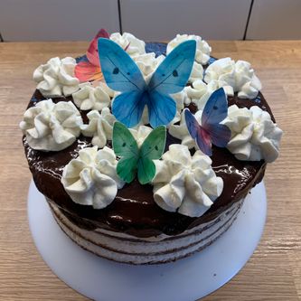 The butterfly cake